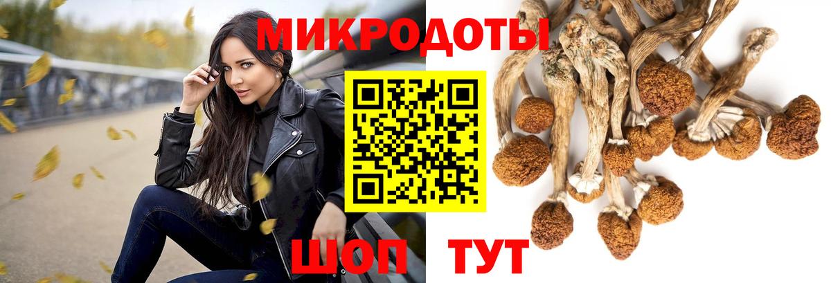 Псилоцибиновые грибы мухоморы Киреевск